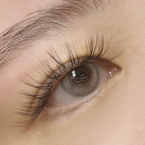 valume lash eyelash extension