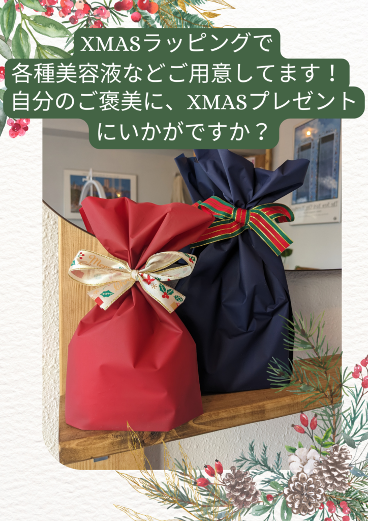 期間限定Xmasラッピングでプレゼントにお勧め！